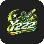 Y222 Game